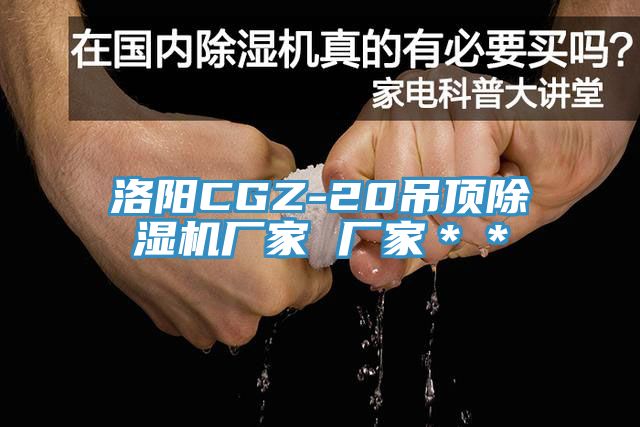 洛阳CGZ-20吊顶免费看操逼软件厂家 厂家＊＊