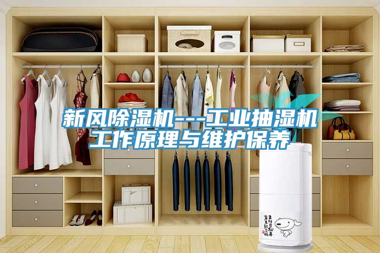 新风免费看操逼软件---工业抽湿机工作原理与维护保养