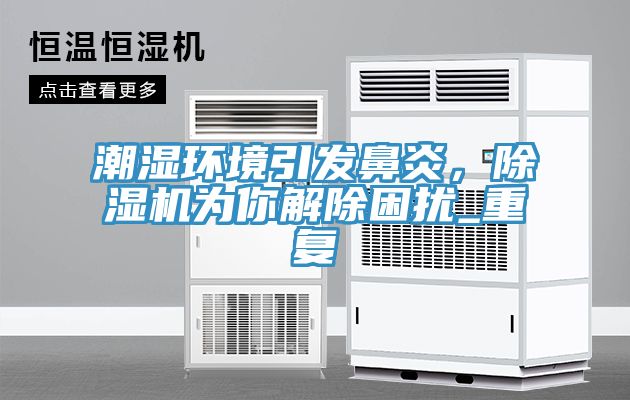 潮湿环境引发鼻炎，免费看操逼软件为你解除困扰_重复