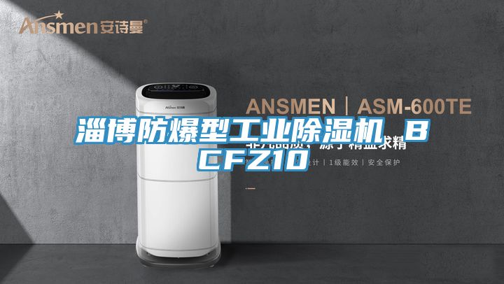 淄博防爆型工业免费看操逼软件 BCFZ10