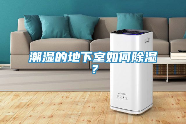潮湿的地下室如何除湿？