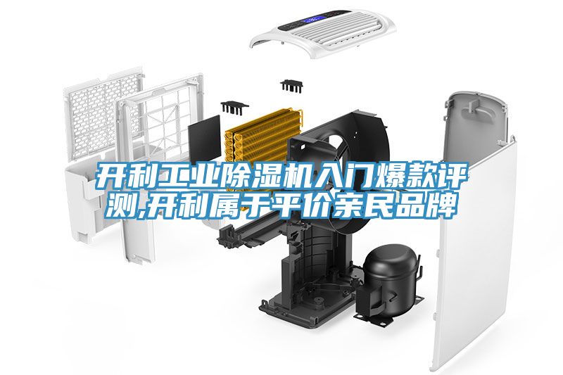开利工业免费看操逼软件入门爆款评测,开利属于平价亲民品牌