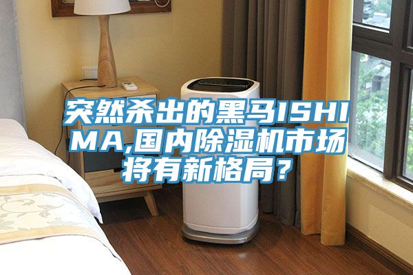 突然杀出的黑马ISHIMA,国内免费看操逼软件市场将有新格局？