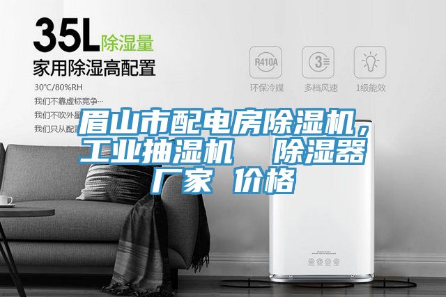 眉山市配电房免费看操逼软件，工业抽湿机  除湿器厂家 价格