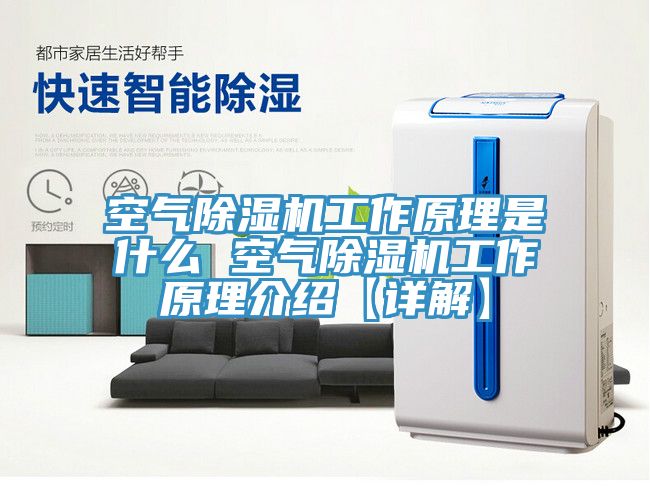 空气免费看操逼软件工作原理是什么 空气免费看操逼软件工作原理介绍【详解】