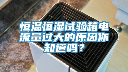 恒温恒湿试验箱电流量过大的原因你知道吗？