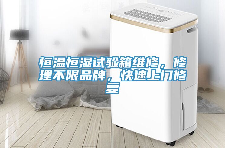 恒温恒湿试验箱维修，修理不限品牌，快速上门修复