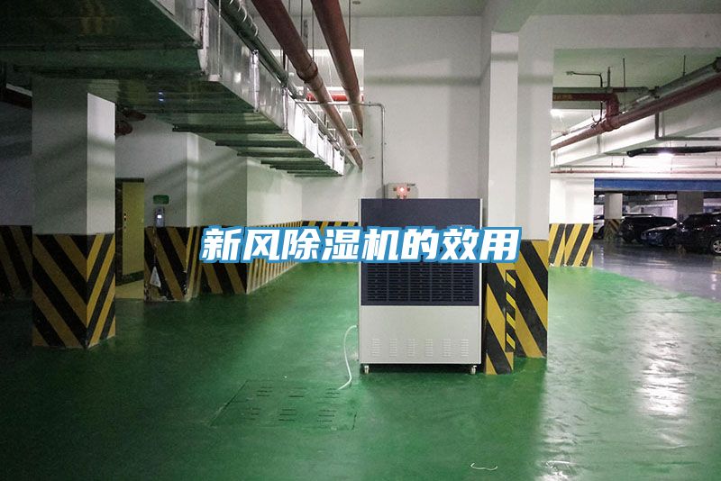 新风免费看操逼软件的效用