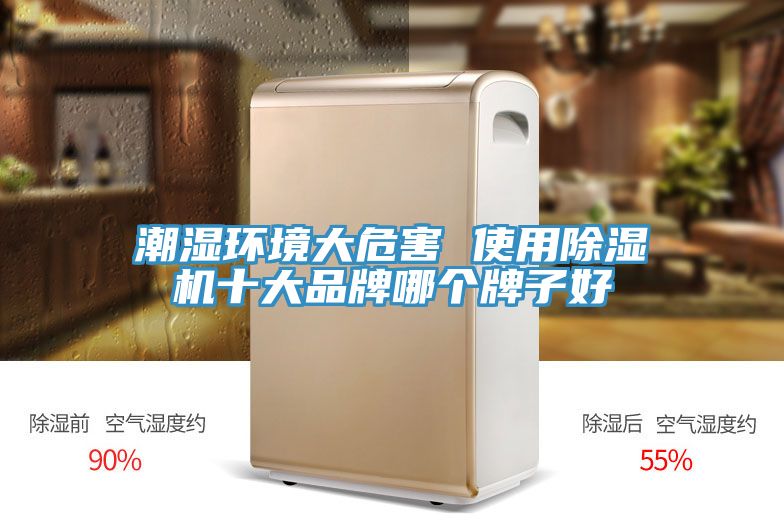 潮湿环境大危害 使用免费看操逼软件十大品牌哪个牌子好