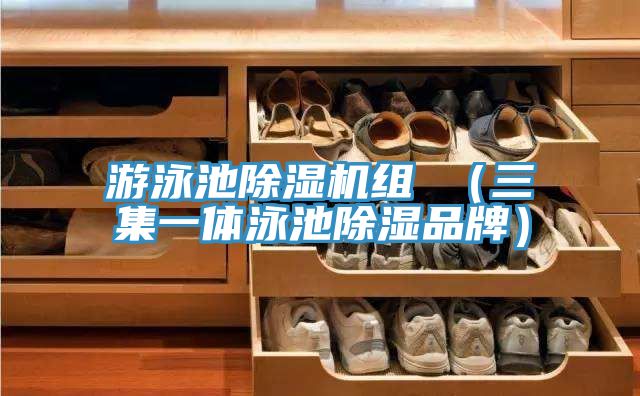 游泳池免费看操逼软件组 （三集一体泳池除湿品牌）
