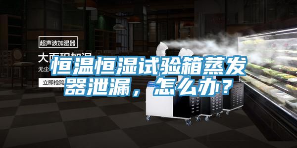 恒温恒湿试验箱蒸发器泄漏，怎么办？