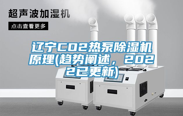 辽宁CO2热泵免费看操逼软件原理(趋势阐述，2022已更新)