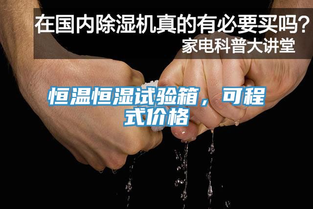 恒温恒湿试验箱，可程式价格