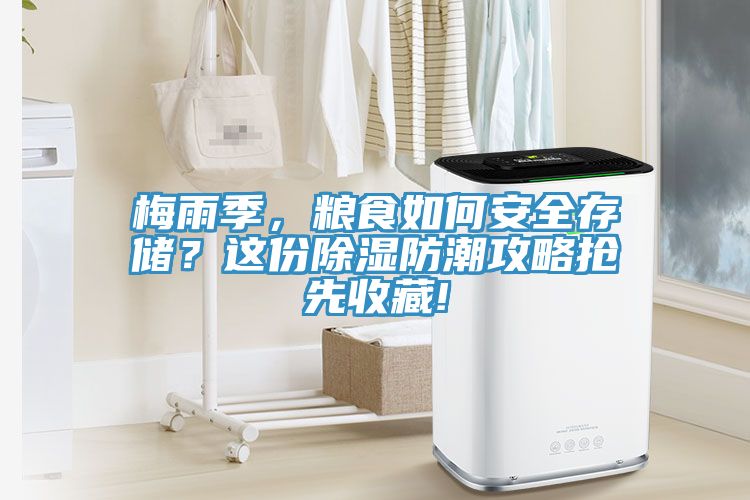 梅雨季，粮食如何安全存储？这份除湿防潮攻略抢先收藏!