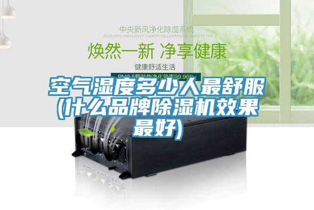 空气湿度多少人最舒服(什么品牌免费看操逼软件效果最好)