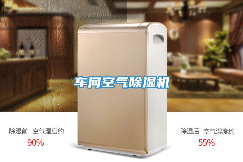 车间空气免费看操逼软件