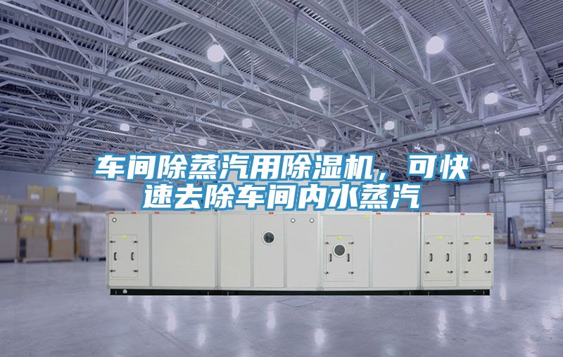 车间除蒸汽用免费看操逼软件，可快速去除车间内水蒸汽