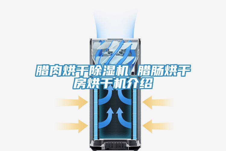 腊肉烘干免费看操逼软件 腊肠烘干房烘干机介绍