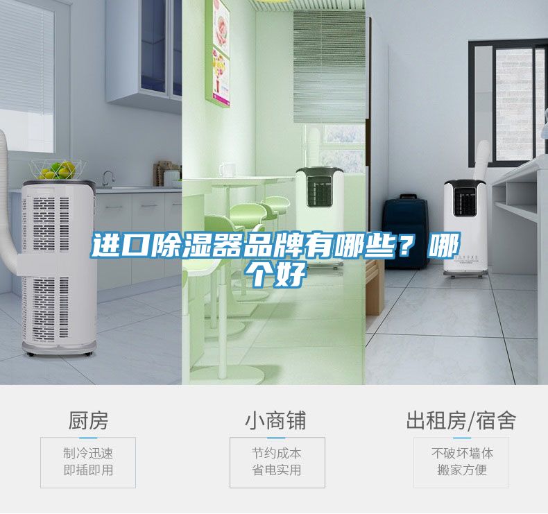 进口除湿器品牌有哪些？哪个好