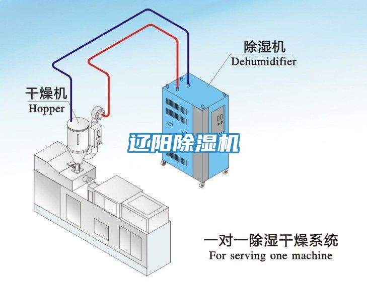 辽阳免费看操逼软件