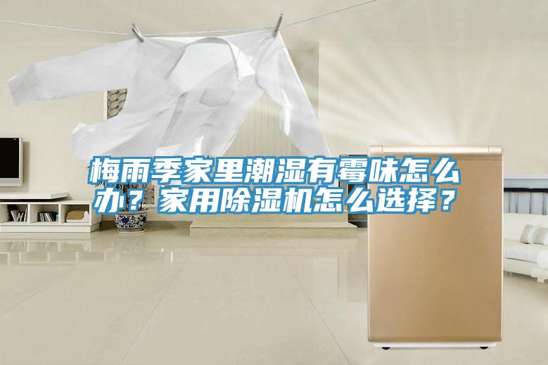 梅雨季家里潮湿有霉味怎么办？家用免费看操逼软件怎么选择？