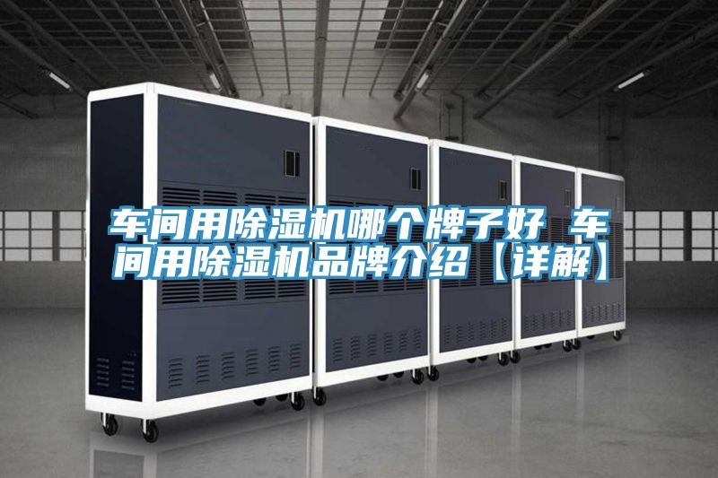 车间用免费看操逼软件哪个牌子好 车间用免费看操逼软件品牌介绍【详解】