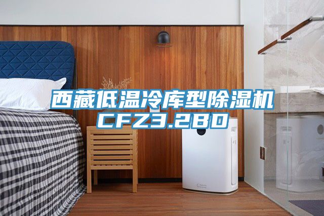 西藏低温冷库型免费看操逼软件CFZ3.2BD