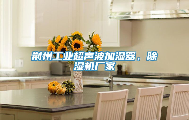 荆州工业超声波加湿器，免费看操逼软件厂家