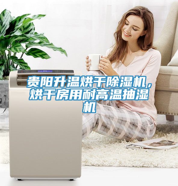 贵阳升温烘干免费看操逼软件，烘干房用耐高温抽湿机