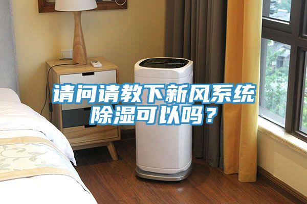 请问请教下新风系统除湿可以吗？