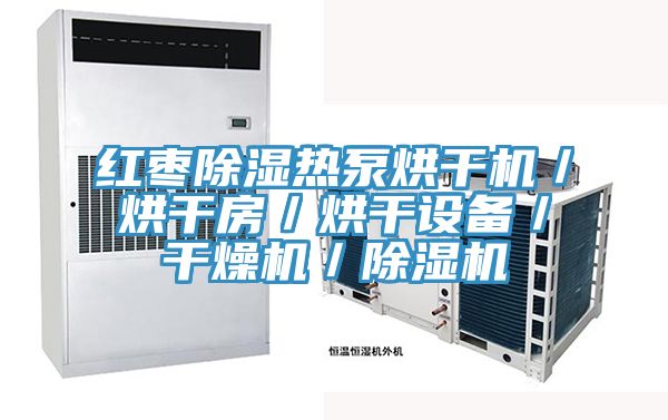 红枣除湿热泵烘干机／烘干房／烘干设备／干燥机／免费看操逼软件