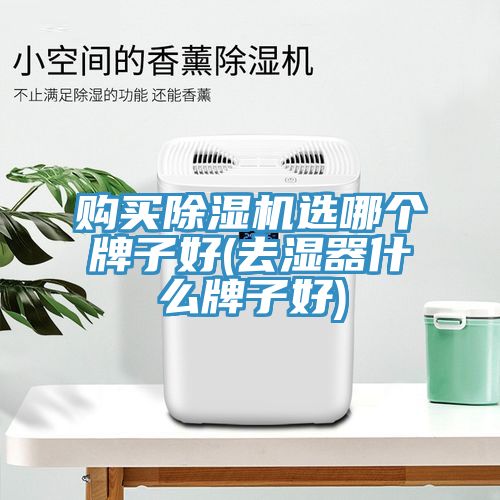 购买免费看操逼软件选哪个牌子好(去湿器什么牌子好)