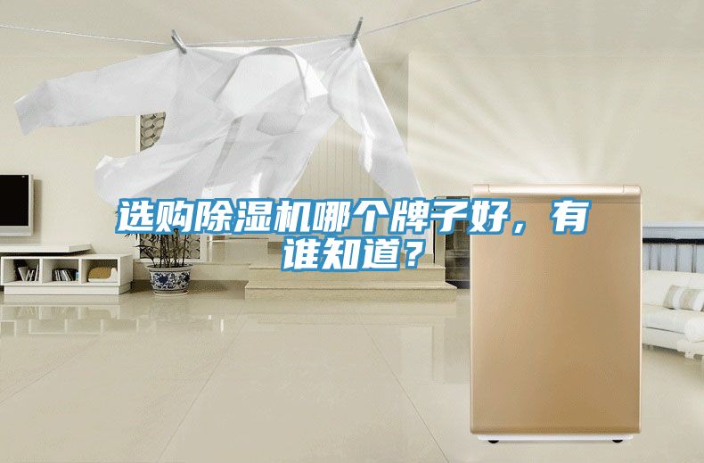 选购免费看操逼软件哪个牌子好，有谁知道？