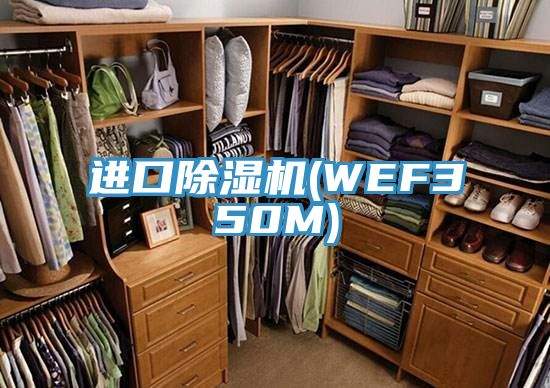 进口免费看操逼软件(WEF350M)