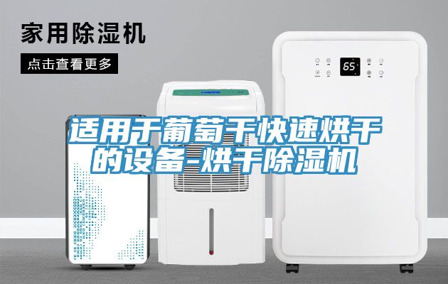 适用于葡萄干快速烘干的设备-烘干免费看操逼软件