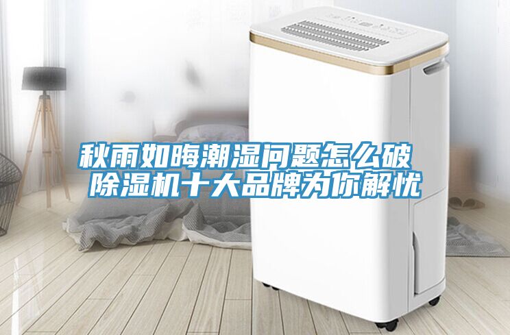 秋雨如晦潮湿问题怎么破 免费看操逼软件十大品牌为你解忧