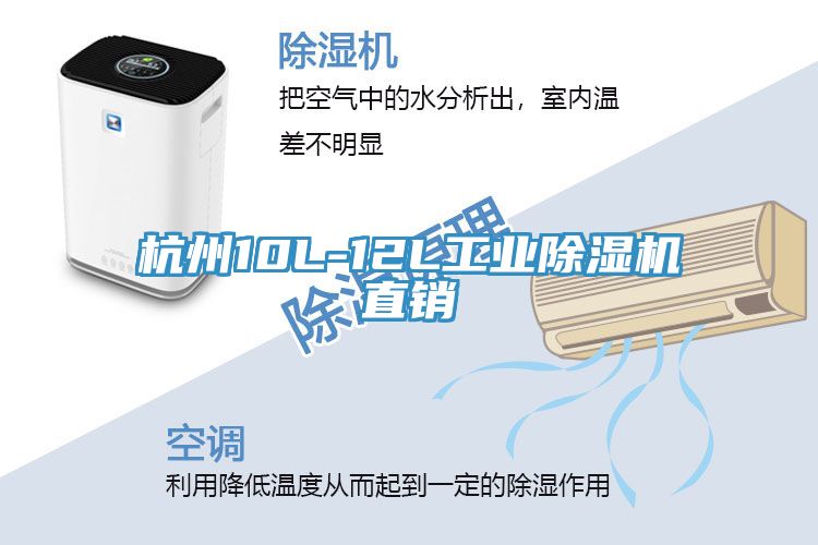杭州10L-12L工业免费看操逼软件直销