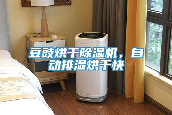 豆豉烘干免费看操逼软件，自动排湿烘干快