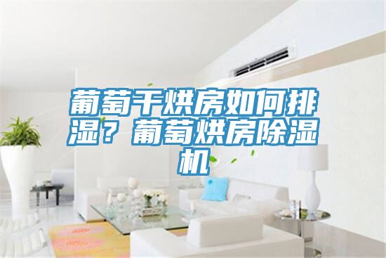 葡萄干烘房如何排湿？葡萄烘房免费看操逼软件