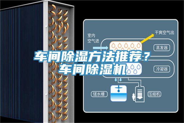 车间除湿方法推荐？车间免费看操逼软件