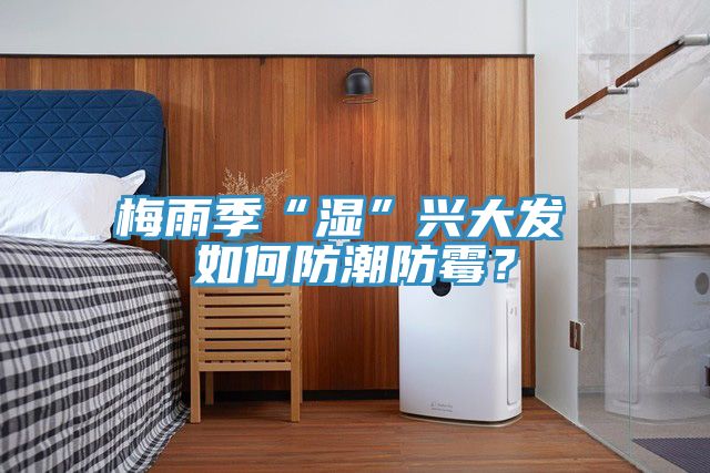 梅雨季“湿”兴大发 如何防潮防霉？