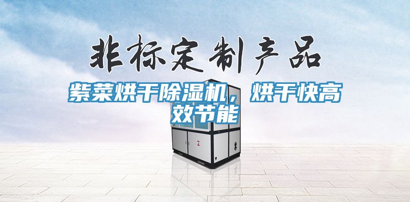 紫菜烘干免费看操逼软件，烘干快高效节能