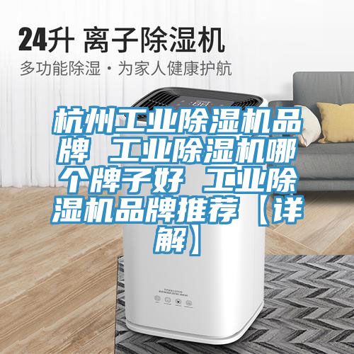 杭州工业免费看操逼软件品牌 工业免费看操逼软件哪个牌子好 工业免费看操逼软件品牌推荐【详解】