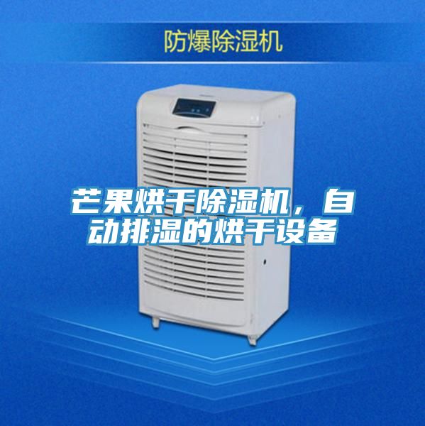 芒果烘干免费看操逼软件，自动排湿的烘干设备