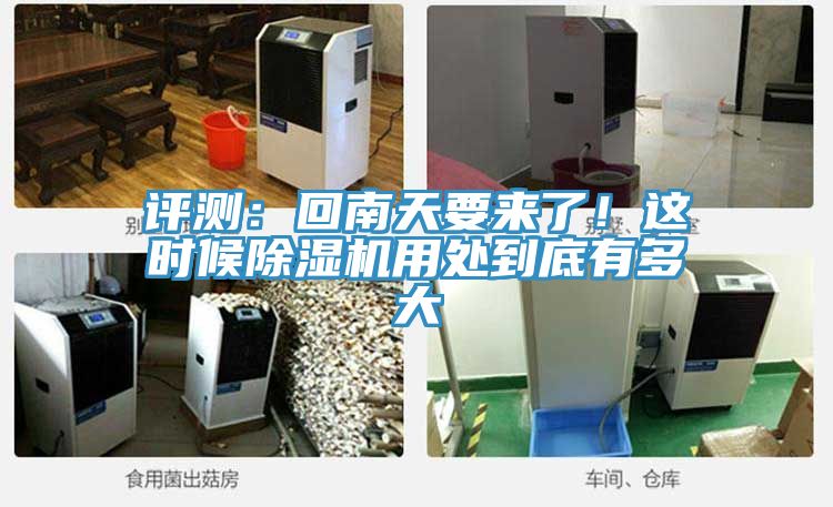 评测：回南天要来了！这时候免费看操逼软件用处到底有多大