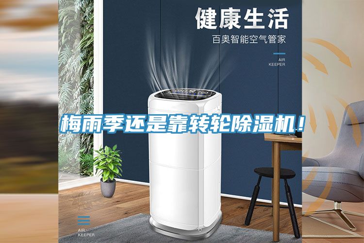 梅雨季还是靠转轮免费看操逼软件！