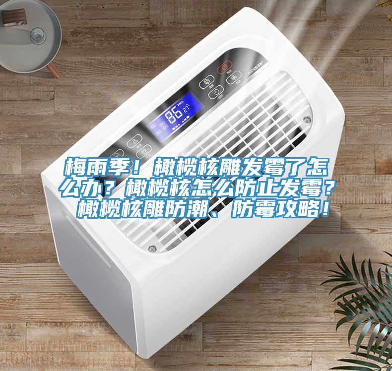 梅雨季！橄榄核雕发霉了怎么办？橄榄核怎么防止发霉？ 橄榄核雕防潮、防霉攻略！