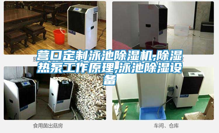 营口定制泳池免费看操逼软件,除湿热泵工作原理,泳池除湿设备