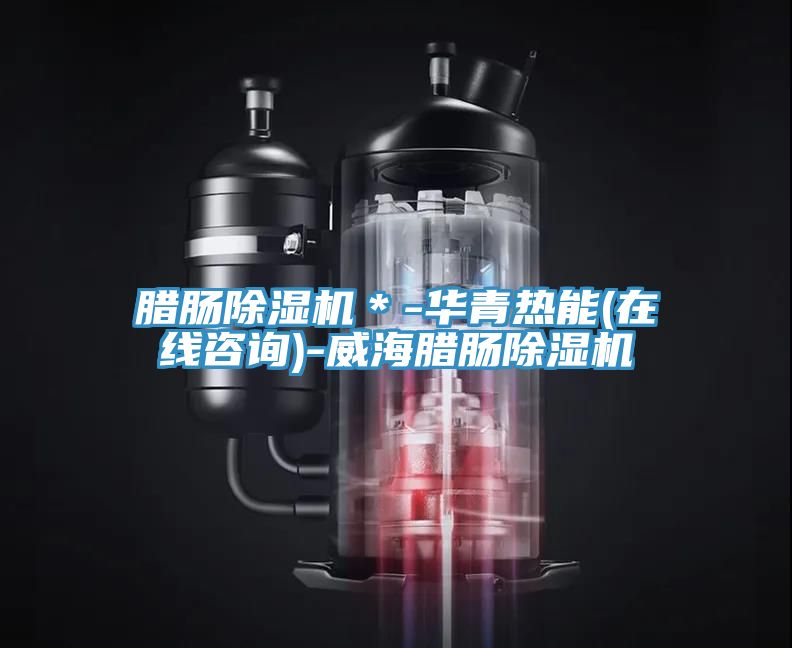 腊肠免费看操逼软件＊-华青热能(在线咨询)-威海腊肠免费看操逼软件