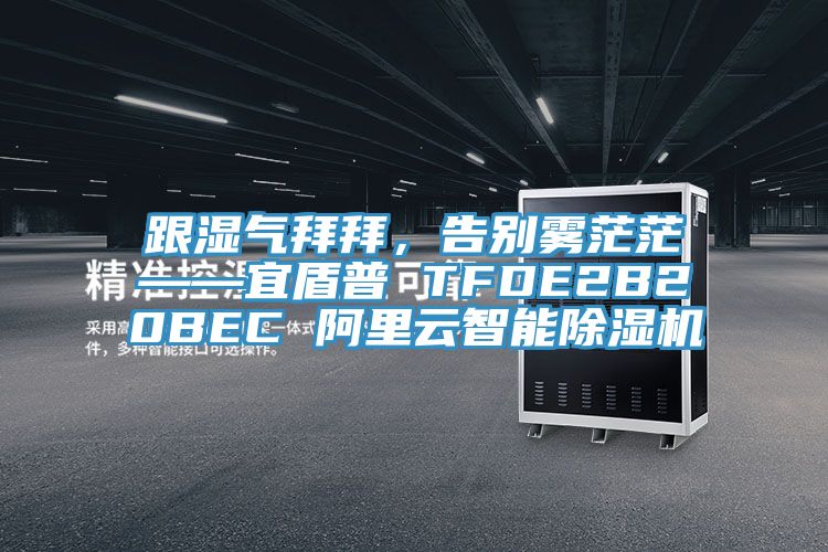 跟湿气拜拜，告别雾茫茫——宜盾普 TFDE2B20BEC 阿里云智能免费看操逼软件